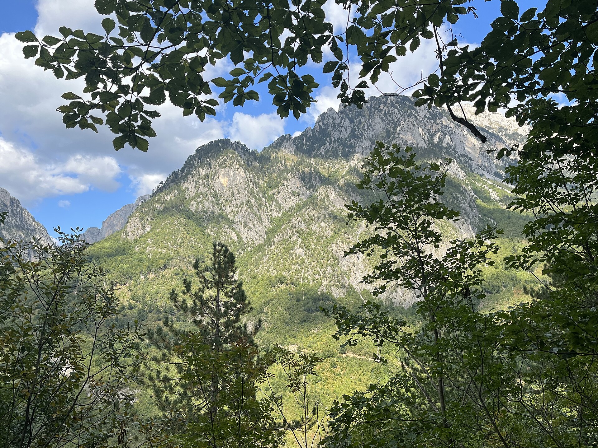 Valbona